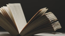 Book summarizer and reader project showcasing AI-driven summaries