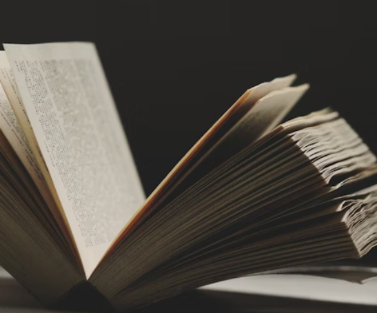 Book summarizer and reader project showcasing AI-driven summaries