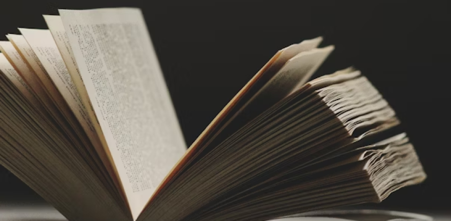 Book summarizer and reader project showcasing AI-driven summaries