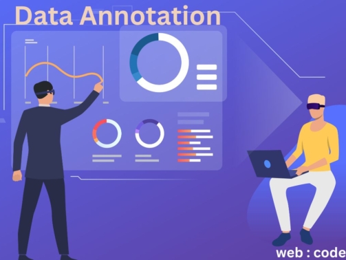 Data Annotation