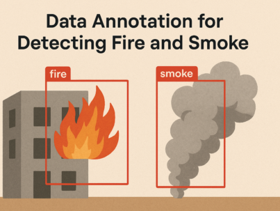 data annotation